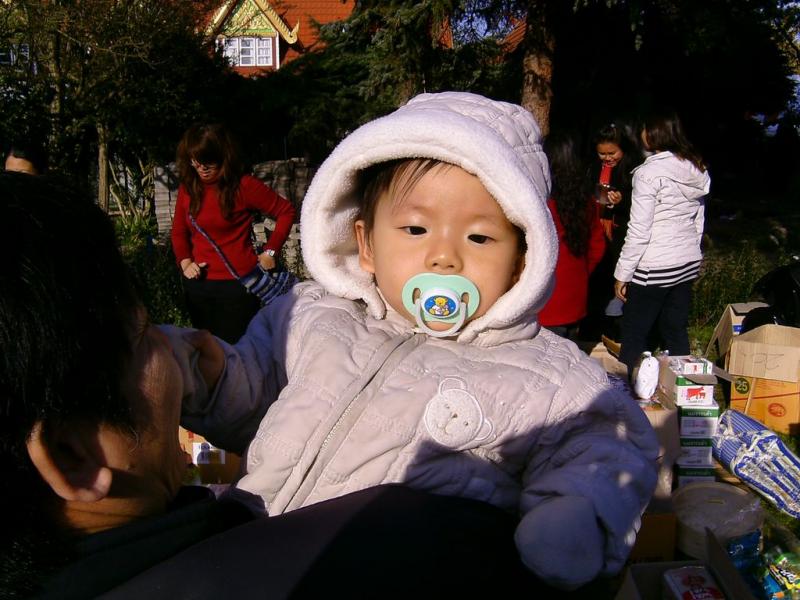 2008.10.25-watpa13.jpg