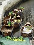 2012062-4-jinjok-pic02_t1.jpg
