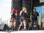 Klik for at vise 20130608-thaifestival-020_t1.jpg