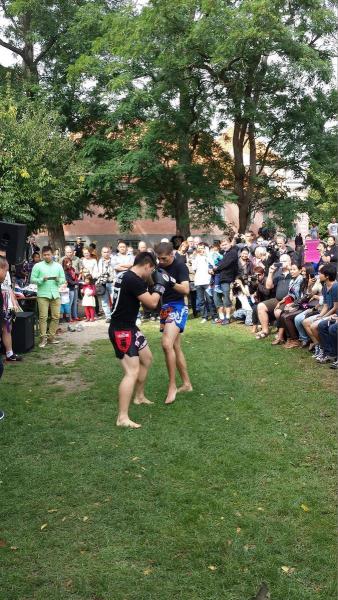 2013_09_08_thaifestival_aarhus_046.jpg