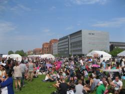 2015_06_13_thaifestivalkbh_003_t1.jpg